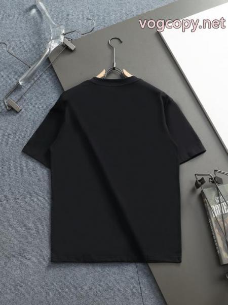 Tシャツ新作数量限定セール HOT新作登場 柔らかい色調CELINEスーパー コピー 販売 5